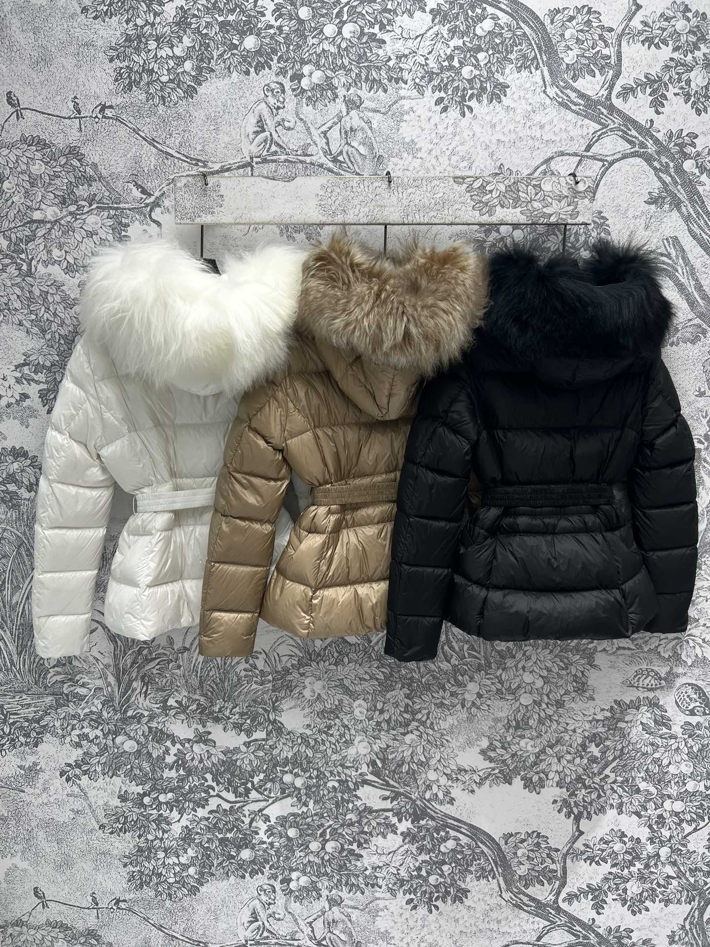 Moncler Down Jackets